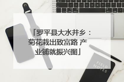 罗平县大水井乡：菊花栽出致富路 产业铺就振兴图