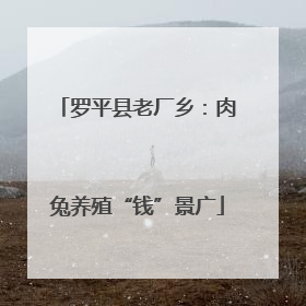 罗平县老厂乡：肉兔养殖“钱”景广