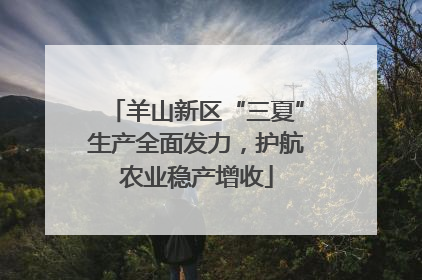 羊山新区“三夏”生产全面发力，护航农业稳产增收