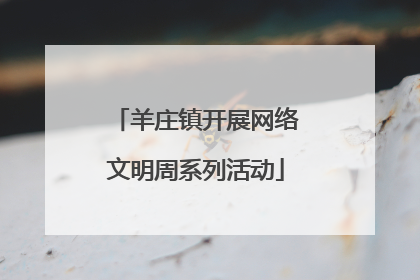 羊庄镇开展网络文明周系列活动