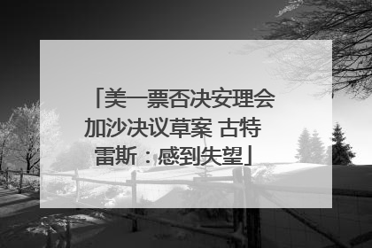 美一票否决安理会加沙决议草案 古特雷斯：感到失望