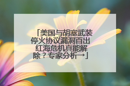 美国与胡塞武装停火协议漏洞百出 红海危机真能解除？专家分析→