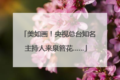 美如画！央视总台知名主持人来泉簪花……