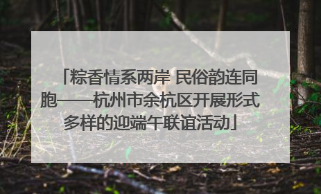 粽香情系两岸 民俗韵连同胞——杭州市余杭区开展形式多样的迎端午联谊活动