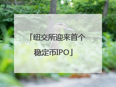 纽交所迎来首个稳定币IPO