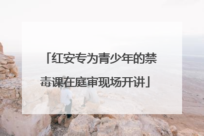 红安专为青少年的禁毒课在庭审现场开讲