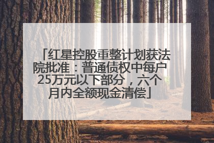 红星控股重整计划获法院批准：普通债权中每户25万元以下部分，六个月内全额现金清偿