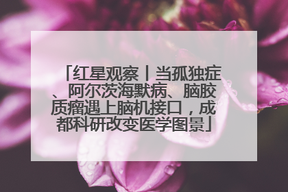 红星观察丨当孤独症、阿尔茨海默病、脑胶质瘤遇上脑机接口，成都科研改变医学图景