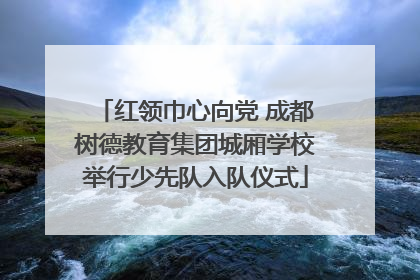 红领巾心向党 成都树德教育集团城厢学校举行少先队入队仪式
