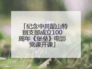 纪念中共韶山特别支部成立100周年《堡垒》电影党课开课