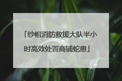 纱帽消防救援大队半小时高效处置商铺蛇患