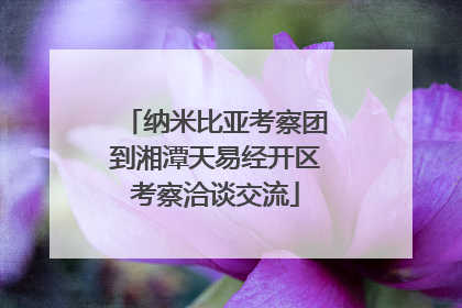 纳米比亚考察团到湘潭天易经开区考察洽谈交流