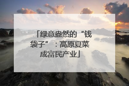 绿意盎然的“钱袋子”：高原夏菜成富民产业
