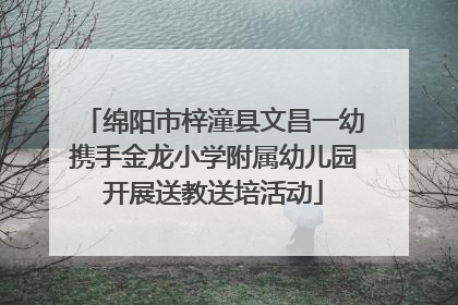 绵阳市梓潼县文昌一幼携手金龙小学附属幼儿园开展送教送培活动