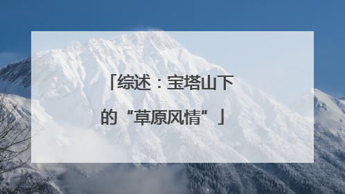 综述：宝塔山下的“草原风情”
