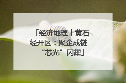 经济地理丨黄石经开区：聚企成链“芯光”闪耀