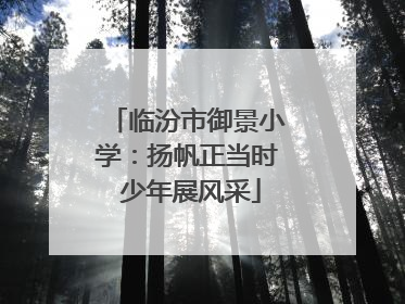 临汾市御景小学：扬帆正当时 少年展风采