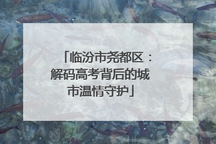 临汾市尧都区：解码高考背后的城市温情守护