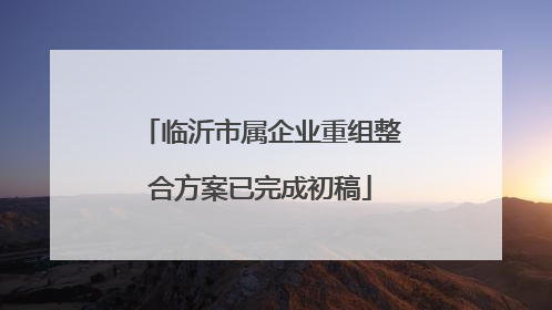 临沂市属企业重组整合方案已完成初稿