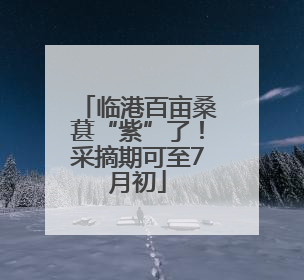 临港百亩桑葚“紫”了！采摘期可至7月初