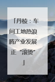 丹棱：车间工地热浪腾产业发展正“滚烫”