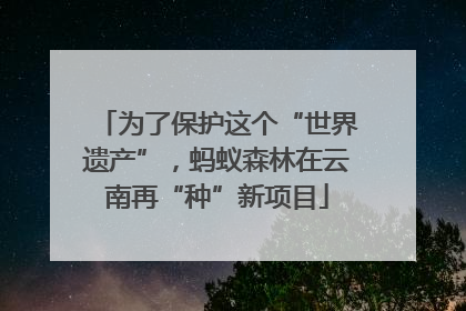 为了保护这个“世界遗产”，蚂蚁森林在云南再“种”新项目