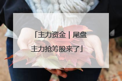 主力资金｜尾盘主力抢筹股来了