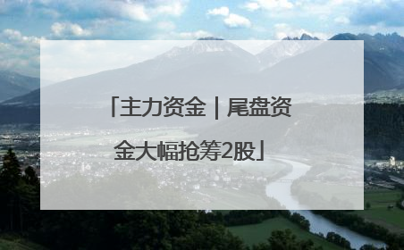 主力资金｜尾盘资金大幅抢筹2股