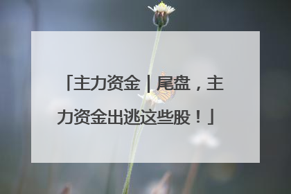 主力资金｜尾盘，主力资金出逃这些股！