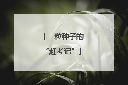 一粒种子的“赶考记”
