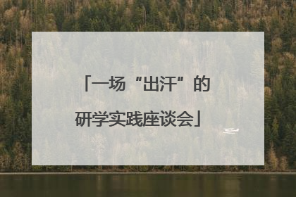一场“出汗”的研学实践座谈会