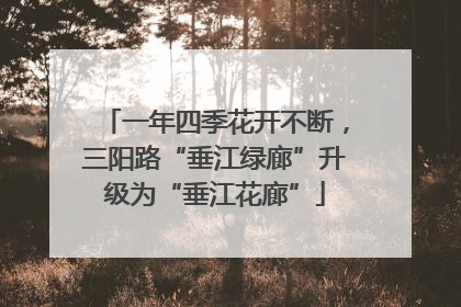 一年四季花开不断，三阳路“垂江绿廊”升级为“垂江花廊”