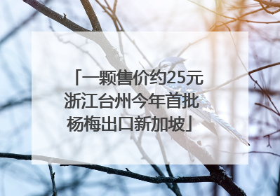 一颗售价约25元 浙江台州今年首批杨梅出口新加坡