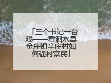 三个书记一台戏——看泗水县金庄镇辛庄村如何强村富民