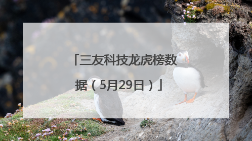 三友科技龙虎榜数据（5月29日）