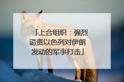 上合组织：强烈谴责以色列对伊朗发动的军事打击