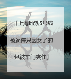 上海地铁5号线被逼停只因女子的包被车门夹住