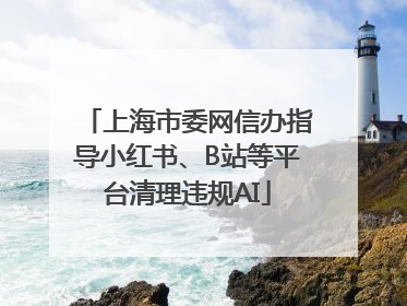 上海市委网信办指导小红书、B站等平台清理违规AI