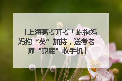上海高考开考！旗袍妈妈抱“葵”加持，送考老师“兜底”收手机
