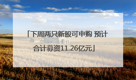 下周两只新股可申购 预计合计募资11.26亿元