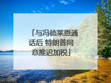 与冯德莱恩通话后 特朗普同意推迟加税