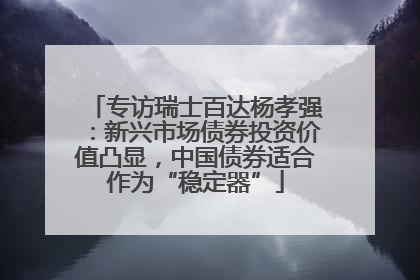 专访瑞士百达杨孝强：新兴市场债券投资价值凸显，中国债券适合作为“稳定器”