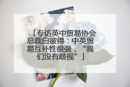 专访英中贸易协会总裁白彼得：中英贸易互补性很强，“我们没有歧视”