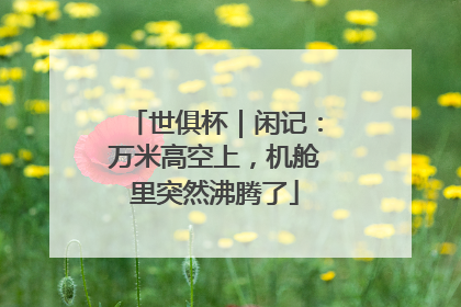 世俱杯｜闲记：万米高空上，机舱里突然沸腾了