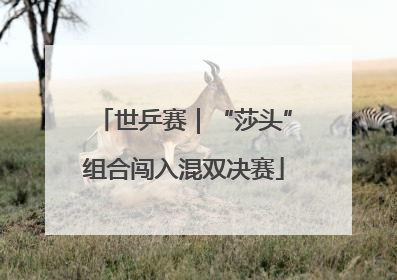 世乒赛｜“莎头”组合闯入混双决赛