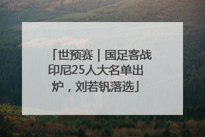 世预赛｜国足客战印尼25人大名单出炉，刘若钒落选