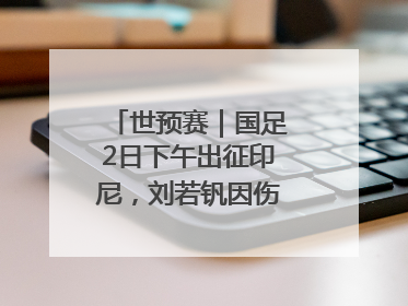 世预赛｜国足2日下午出征印尼，刘若钒因伤落选大名单