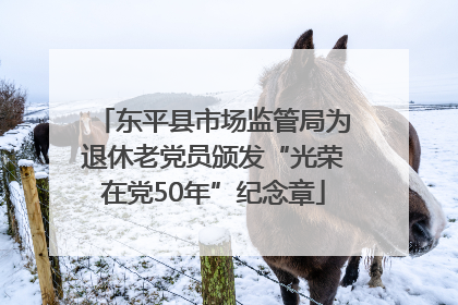 东平县市场监管局为退休老党员颁发“光荣在党50年”纪念章