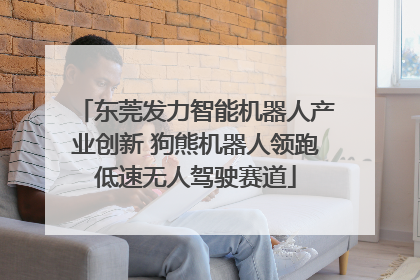 东莞发力智能机器人产业创新 狗熊机器人领跑低速无人驾驶赛道
