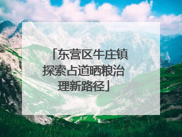 东营区牛庄镇探索占道晒粮治理新路径